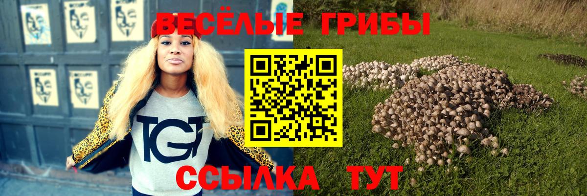 Галлюциногенные грибы Cubensis Кинель