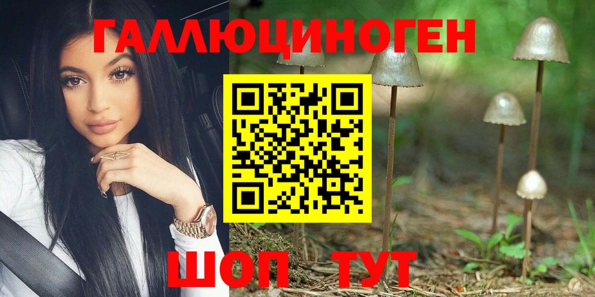 Кинель  Псилоцибиновые грибы мухоморы  Вход с VPN 